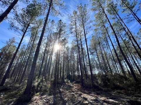 0 County Road 64, Robertsdale, AL 36507
