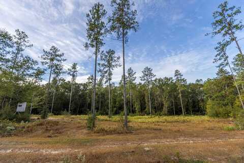 0 Whitehouse Fork Road, Bay Minette, AL 36507