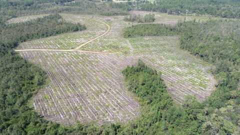 0 County Line Road, Gum Branch, GA 31313