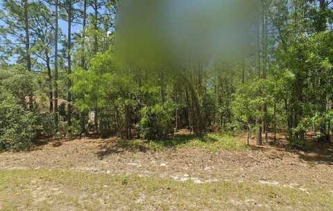 3765 W Forest Drive, Citrus Springs, FL 34433