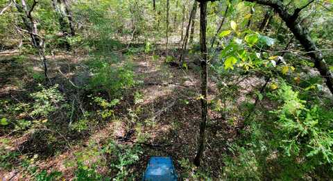 9948 Richardson Rd, Athens, TX 75052