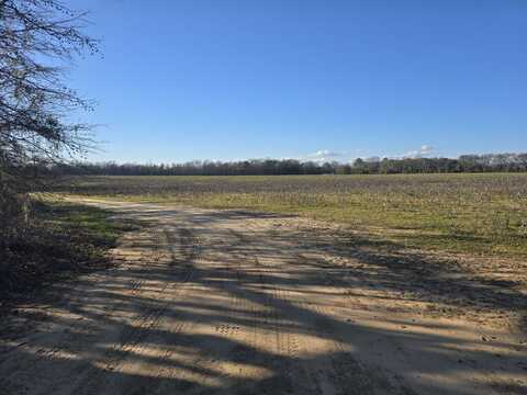 0 County Rd 17, Autaugaville, AL 36003