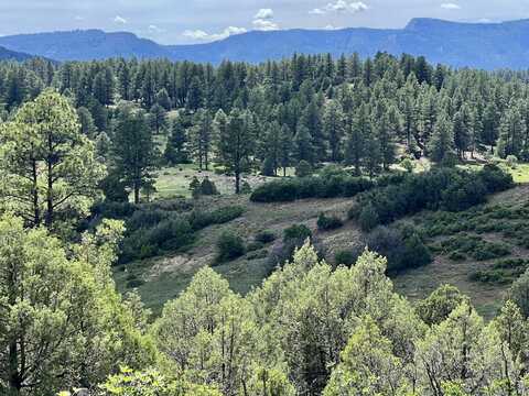 6221 HWY 84, Pagosa Springs, CO 81147