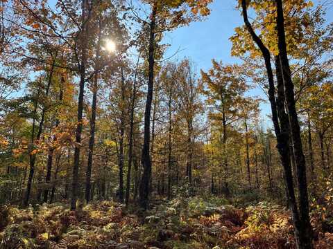 00 Cold Brook Dr, Colton, NY 13687