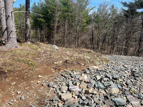 A portion of 43 Woodland DR/Prvt, Hammond, NY 13662