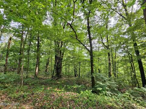 20 Ac Jesse James Road, Pineville, MO 64856
