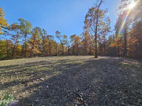 Tract 4 Coble Lane, Anderson, MO 64831