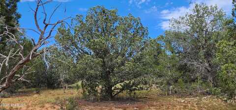 968 Westwood Ranch, Williams, AZ 86046