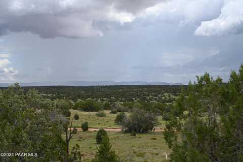 64550 N Flaming Star Drive, Seligman, AZ 86337
