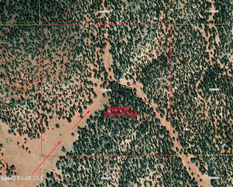 39.93 Acre W Titan Ranch Road, Seligman, AZ 86337