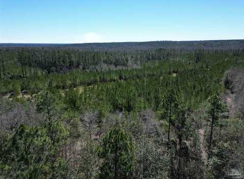 09 Robinsonville Rd, Atmore, AL 36502