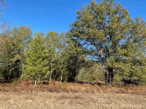 TR 3 Meadow Park, ATHENS, TX 75752