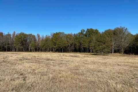 TR 4 Meadow Park, ATHENS, TX 75752
