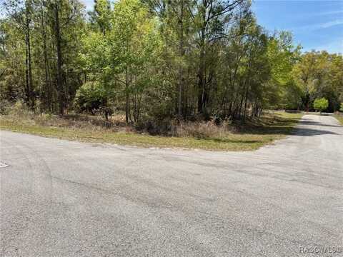 Lots 10,11 SW 202 Court, Dunnellon, FL 34431