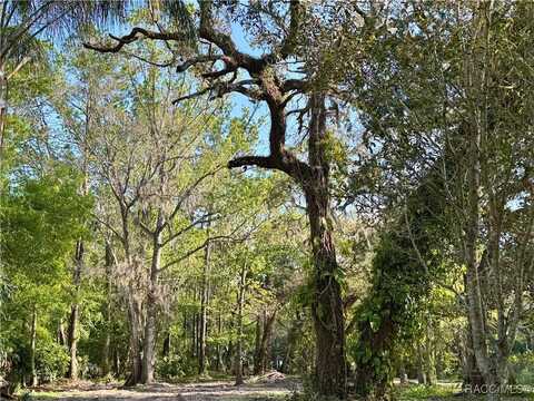 10600 And 10603 W Oliver Street, Homosassa, FL 34448