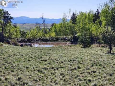 4780 COUNTY ROAD 352A, Canon City, CO 81212