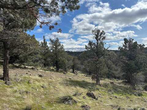 9-1/101 Wildhorse Road, Weed, CA 96094