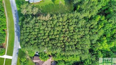 Lot 7 St Catherine Circle, Richmond Hill, GA 31324