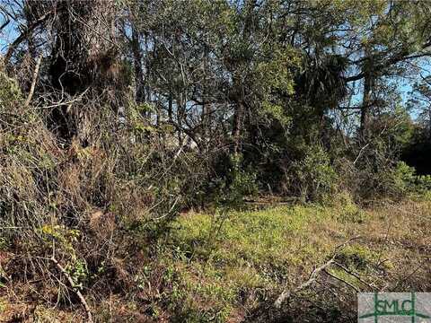 0 Rifle Avenue, Tybee Island, GA 31328