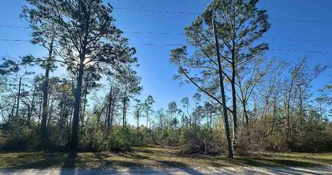 0 Langford Lane, Perry, FL 32347