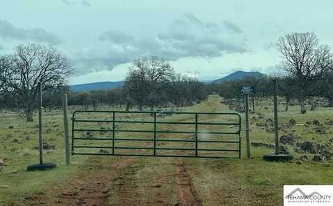 Buffalo Road, Anderson, CA 96007