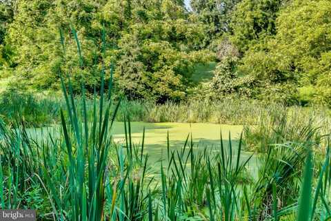 4.321 AC NS BELFAST 1500 W PRICEVILLE RD, SPARKS GLENCOE, MD 21152