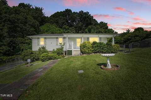 529 Hiwassee Street, Mount Carmel, TN 37645