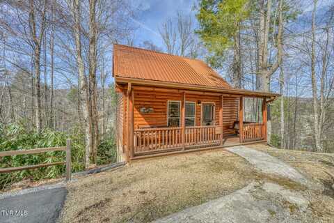 154 State Highway 143, Roan Mountain, TN 37687