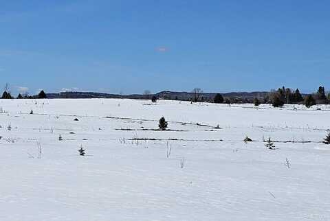 TBD E Branch, Mass City, MI 49948