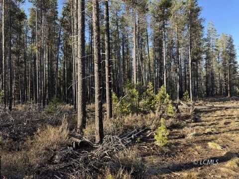 Artesian Drive, Chiloquin, OR 97624