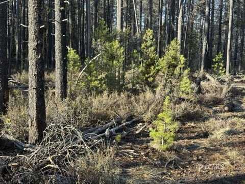 Artesian Drive, Chemult, OR 97624