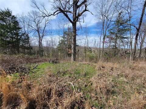 Lot 19 Scalloway DR, Bella Vista, AR 72715