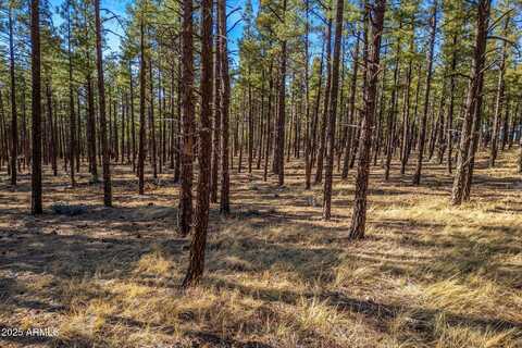 Tbd Wilderness Drive, Pinetop-Lakeside, AZ 85929