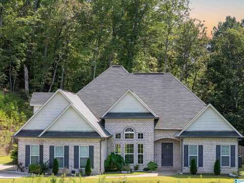 2295 LOWER LAKE DRIVE, ODENVILLE, AL 35120