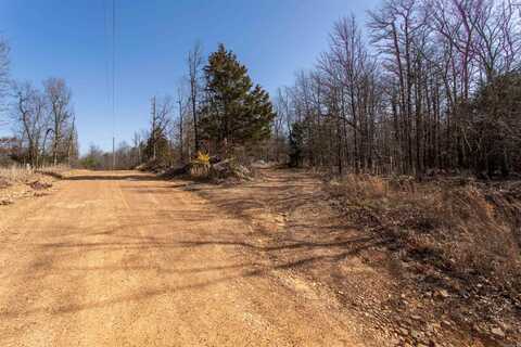 4483 Sunnyland road, Mountain View, AR 72560