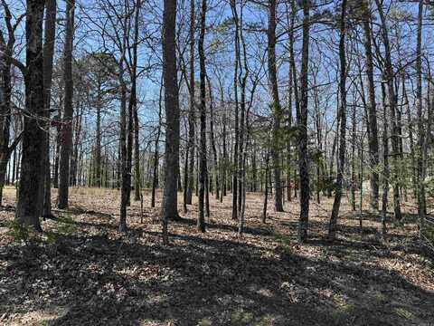 000 Eagle Ridge Trace, Fairfield Bay, AR 72088