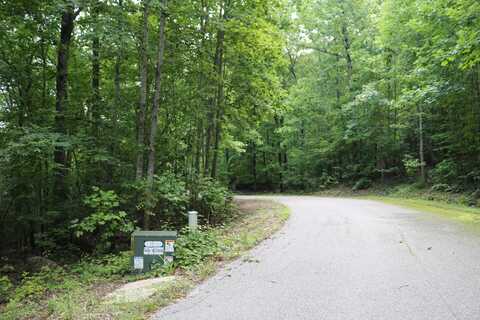 Scenic Drive, South Pittsburg, TN 37380