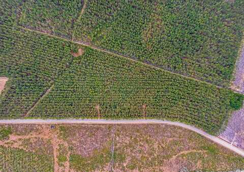 TBD Joyner Swamp Rd., Galivants Ferry, SC 29544