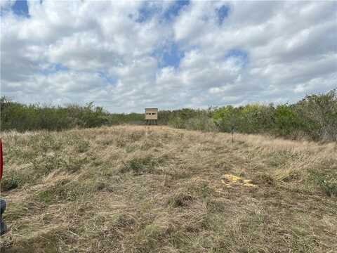 Blackbrush Spur, George West, TX 78022