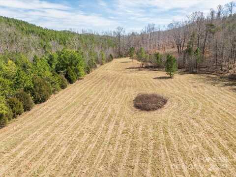 99999 Abrams & Moore Road, Mill Spring, NC 28756