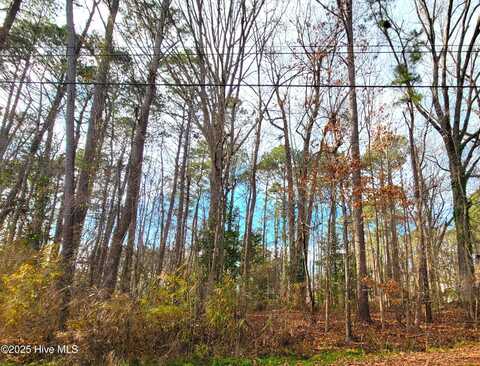 Lot 34 Brassie Drive, Grifton, NC 28530