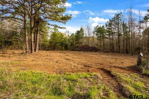 19353 County Road 2153 Lot 1, Troup, TX 75789