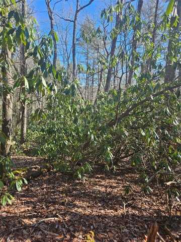 5 Ruffed Grouse Road, Cashiers, NC 28717