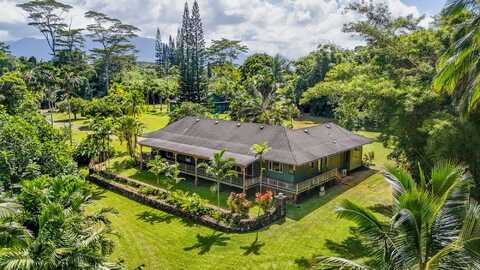 4631 KAHILIHOLO RD, Kilauea, HI 96754