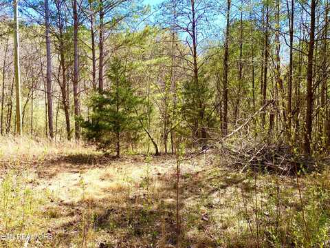 396 Beulah Rd, Tellico Plains, TN 37385