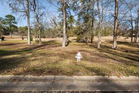 Lot 29 Briar Creek Circle, Laurel, MS 39440