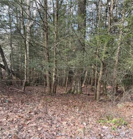 2287 Locust Ridge Road, Tobyhanna, PA 18347