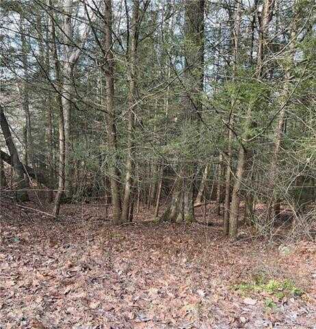2287 Locust Ridge Road, Tobyhanna, PA 18347