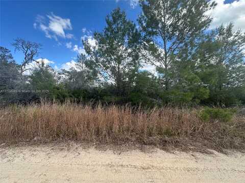 123 DARTMOOR AVE, Lake Placid, FL 33852