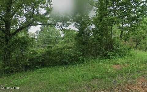 2335 University Avenue, Oxford, MS 38655